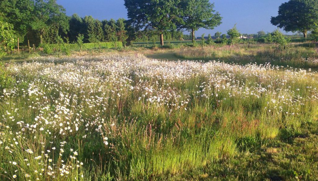 Natuurtuin Babako Enter